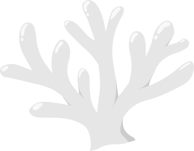 Coral Bleaching Is Far More Complex Than We First Thought. Here's Why That Matters.