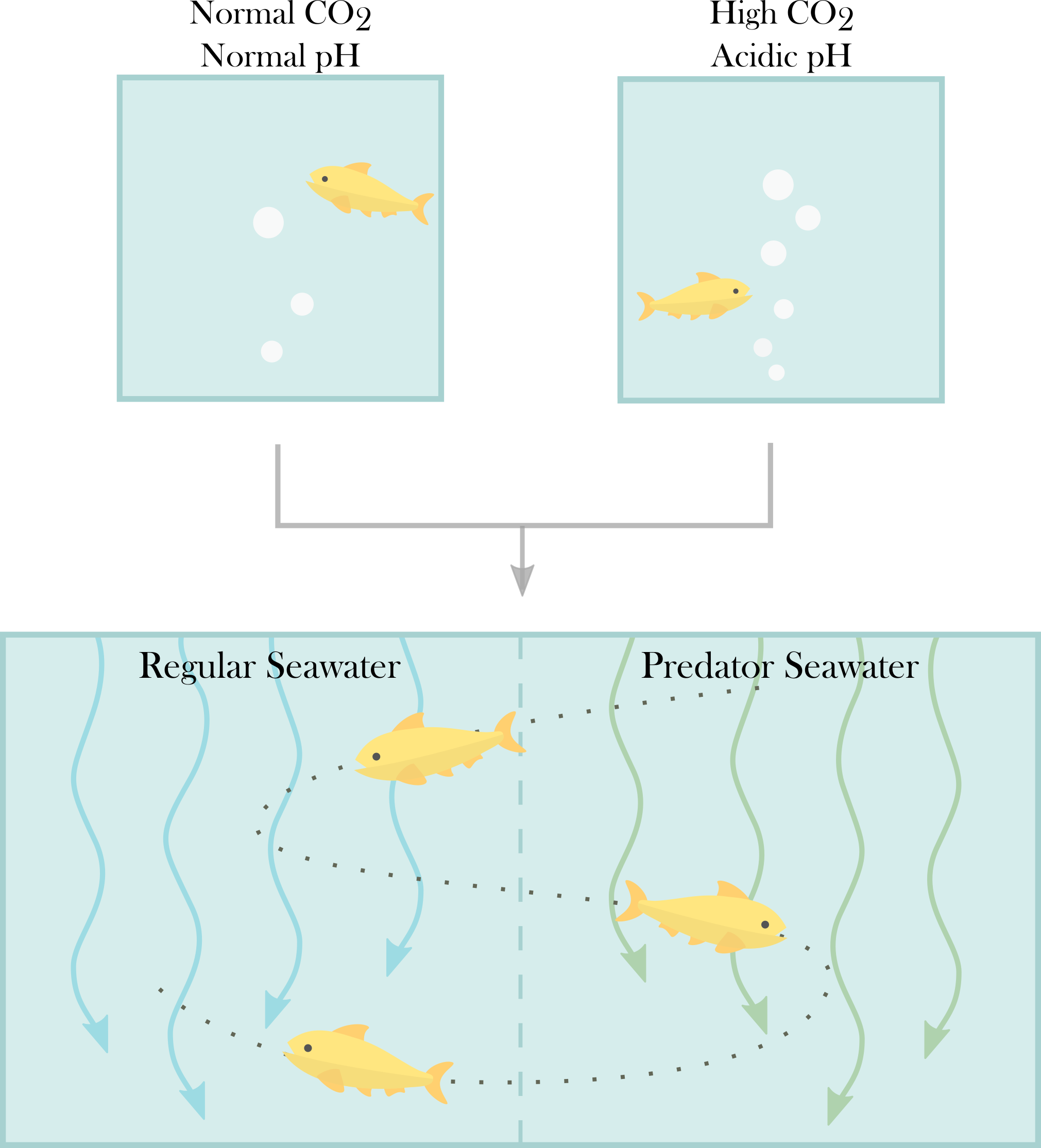 Climate Change Makes Fish Act Strangely... or Does it?